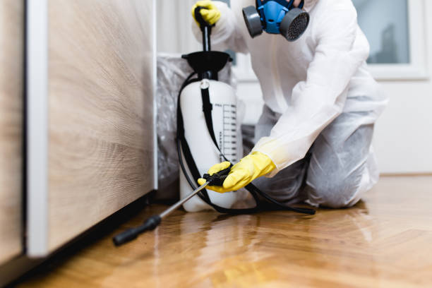 Flea Control Services in Highland Lakes, AL