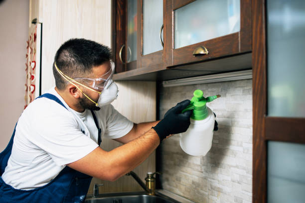 Best Commercial Pest Control Services  in Highland Lakes, AL