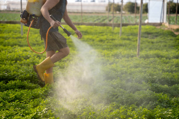 Best Pest Control Cost  in Highland Lakes, AL