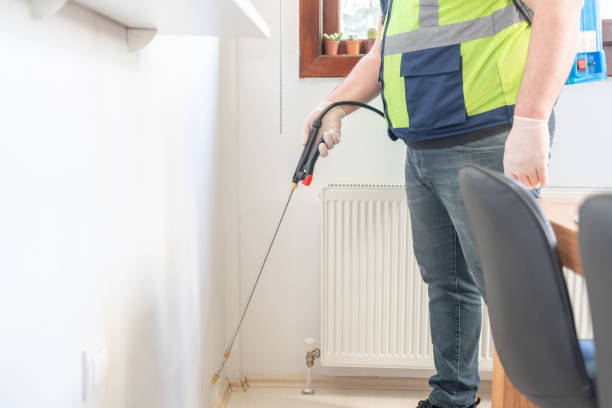 Best Local Pest Control Services  in Highland Lakes, AL