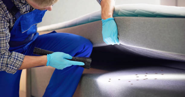 Best Wasp Removal Services  in Highland Lakes, AL