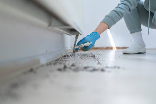 Best Insect Control  in Highland Lakes, AL