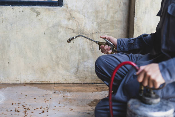 Best Commercial Pest Control Services  in Highland Lakes, AL